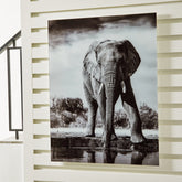 Best Deals Furniture - Ashley Furniture - Glinyard Wall Art - Wall Art - A8000421